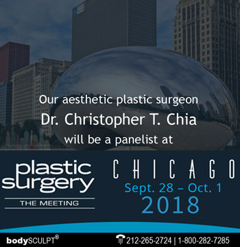 Plastic Surgery The Meeting