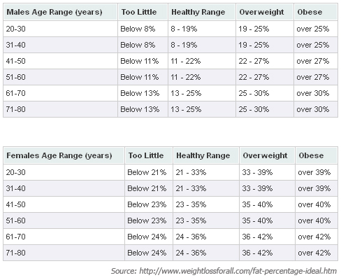 Body Fat Percentage