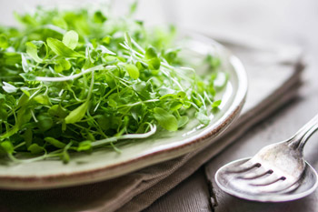 Benefits and Potential Risks of Raw Sprouts