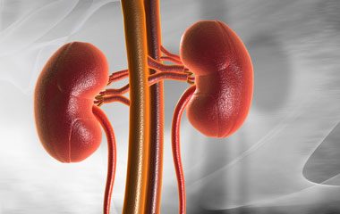 National Kidney Month